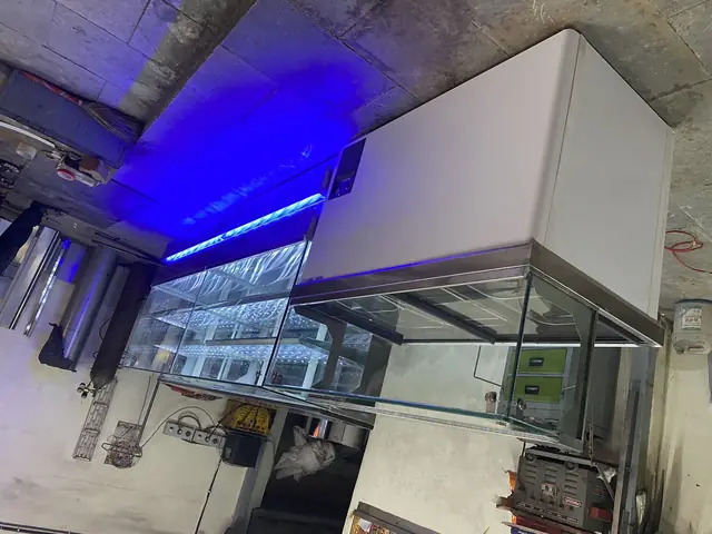 Display-Counter